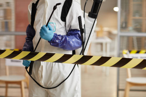 Professional Sewage Cleanup technician working in New Castle, NH